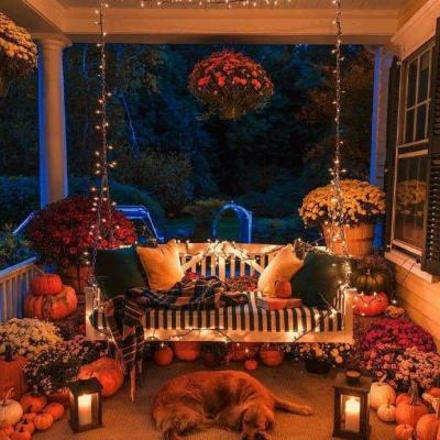 星空官方网站入口