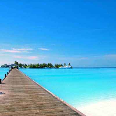 天天中彩票手机app下载